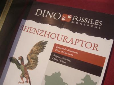dinosaurs.montreal.chinese.name.jpg