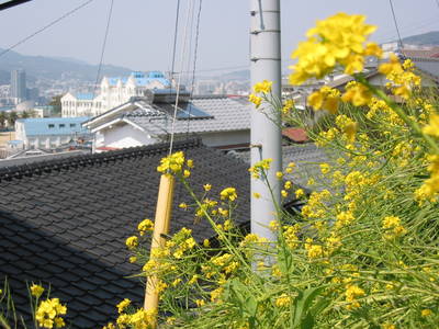 japan.nagasaki.mountainside.20050401.jpg