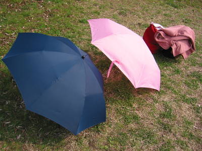 japan.umbrellas.kyoto.imperial.palace.20050403.jpg