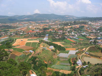 dalat.fields.jpg